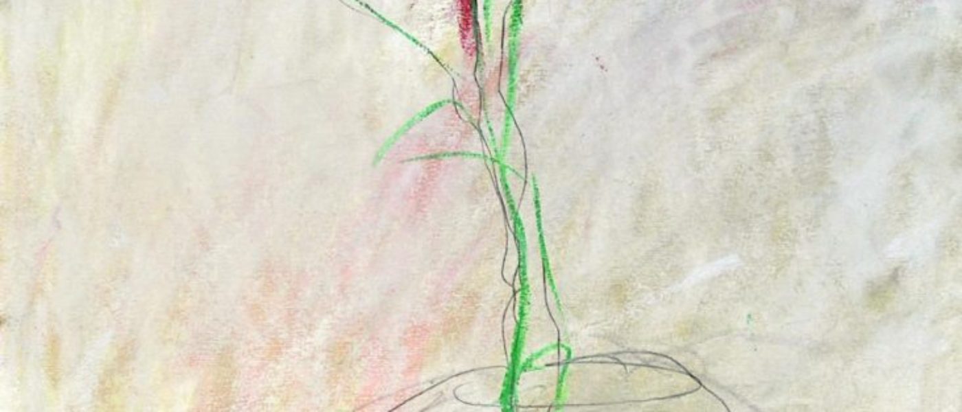 blume_oelpastell_36x48cm_2011_a_ziller